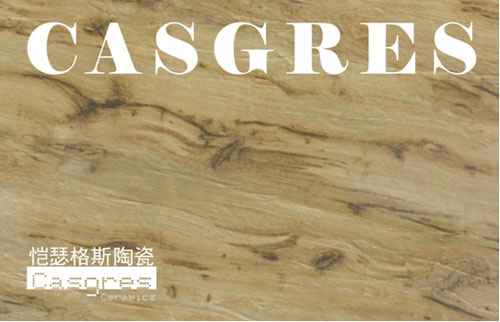 愷瑟格斯榮獲“中國十大仿古磚品牌”