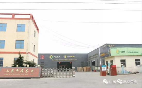 安室美惠板材，等待你發(fā)現(xiàn)的美