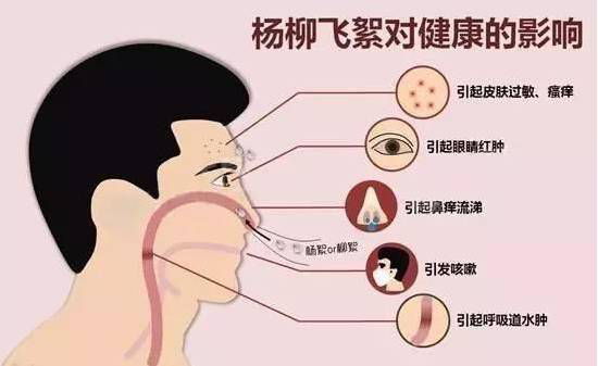 柳絮過敏讓你鼻子發(fā)癢，空氣堡新風(fēng)系統(tǒng)讓你舒爽