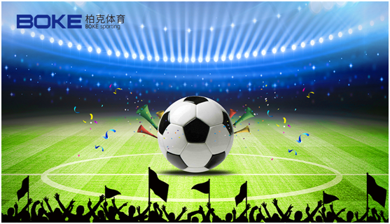 柏克體育|智造球場(chǎng)之光，為歐洲杯加油!