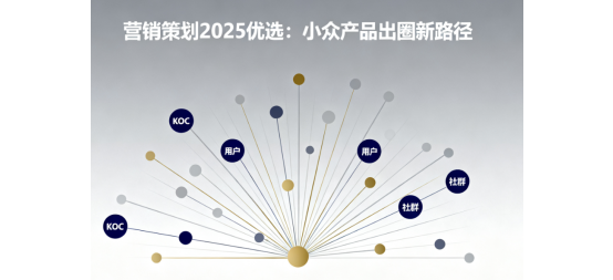 營銷策劃2025優(yōu)選:小眾產(chǎn)品出圈新路徑
